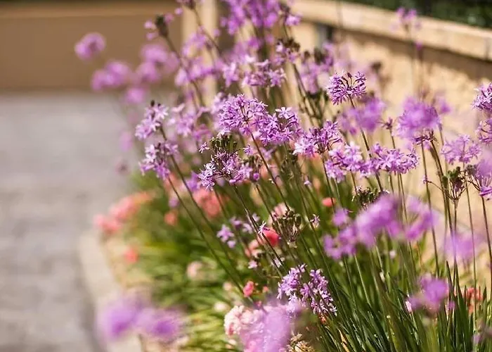 Apartment El Proel *