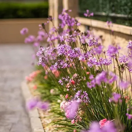 アパート El Proel *